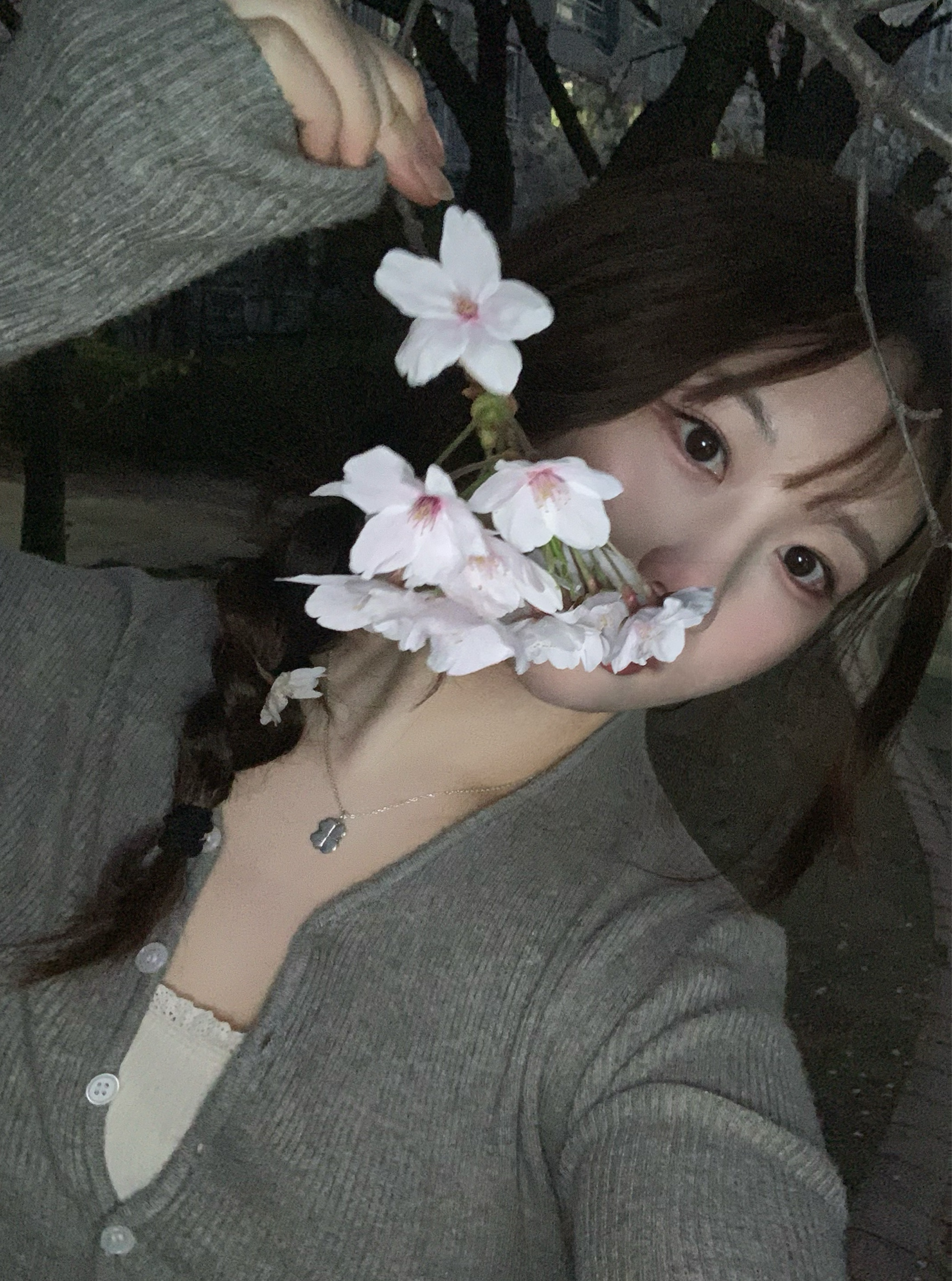 좋은 꿈 꿔  - ☘︎