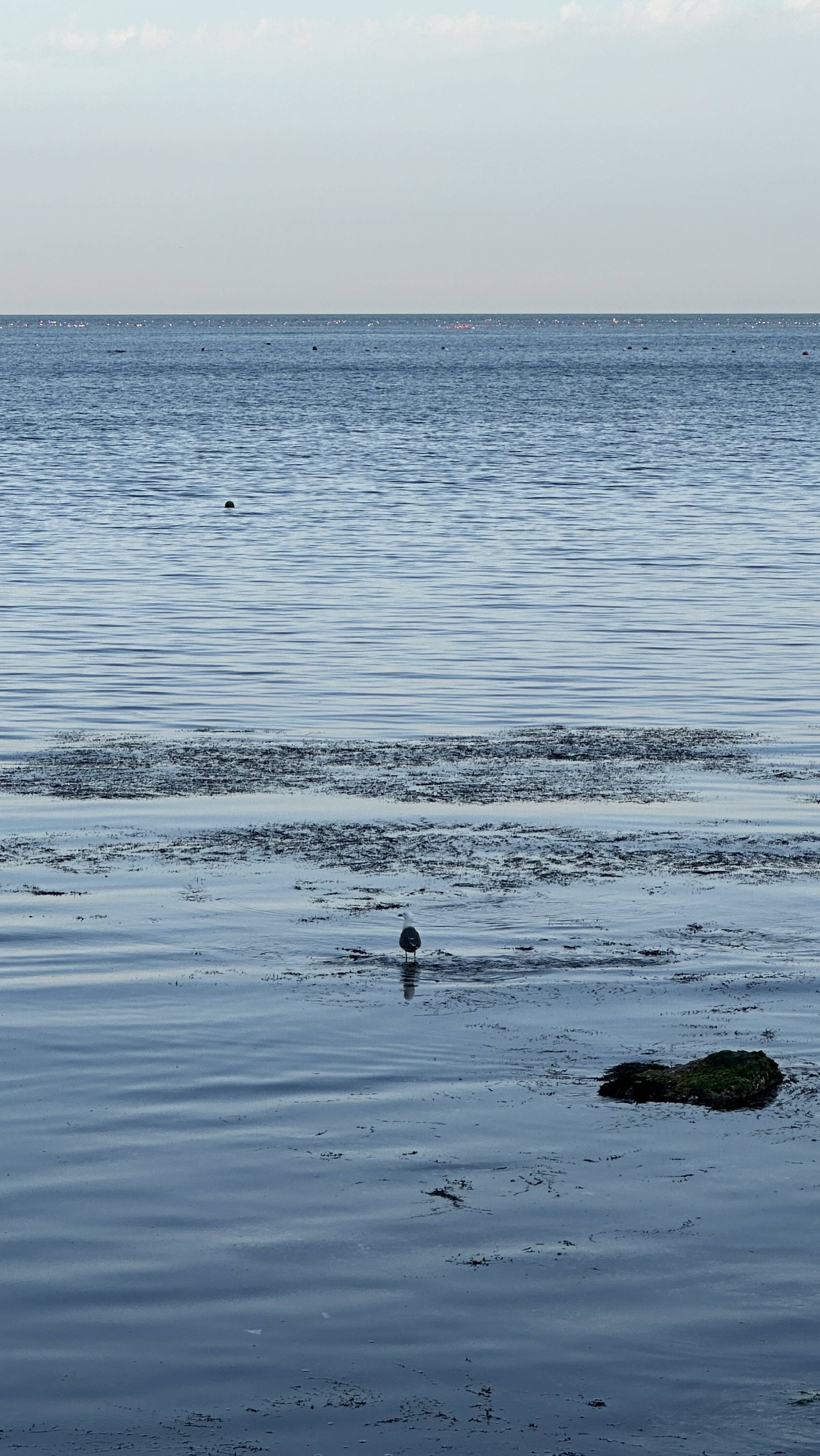 🌊점심이 오고있어요!