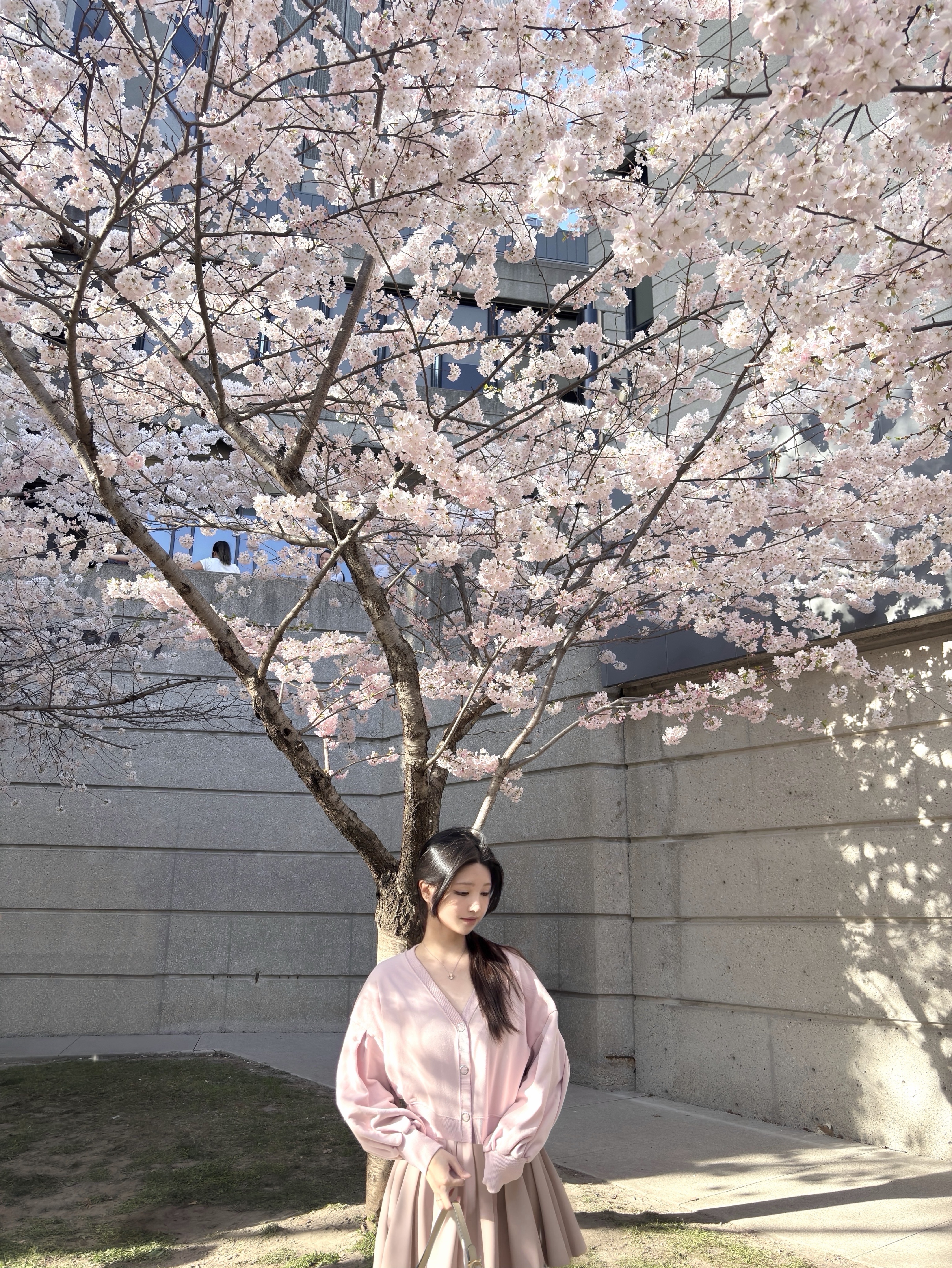 🤍 보고싶었다구 말해