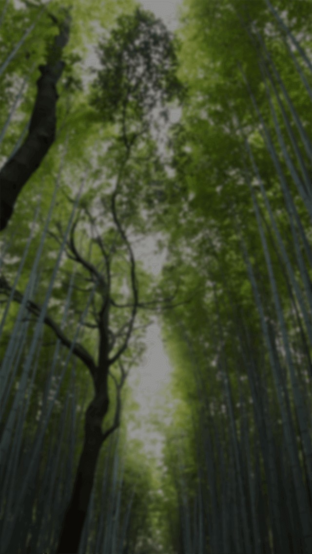 너를 위한 방송