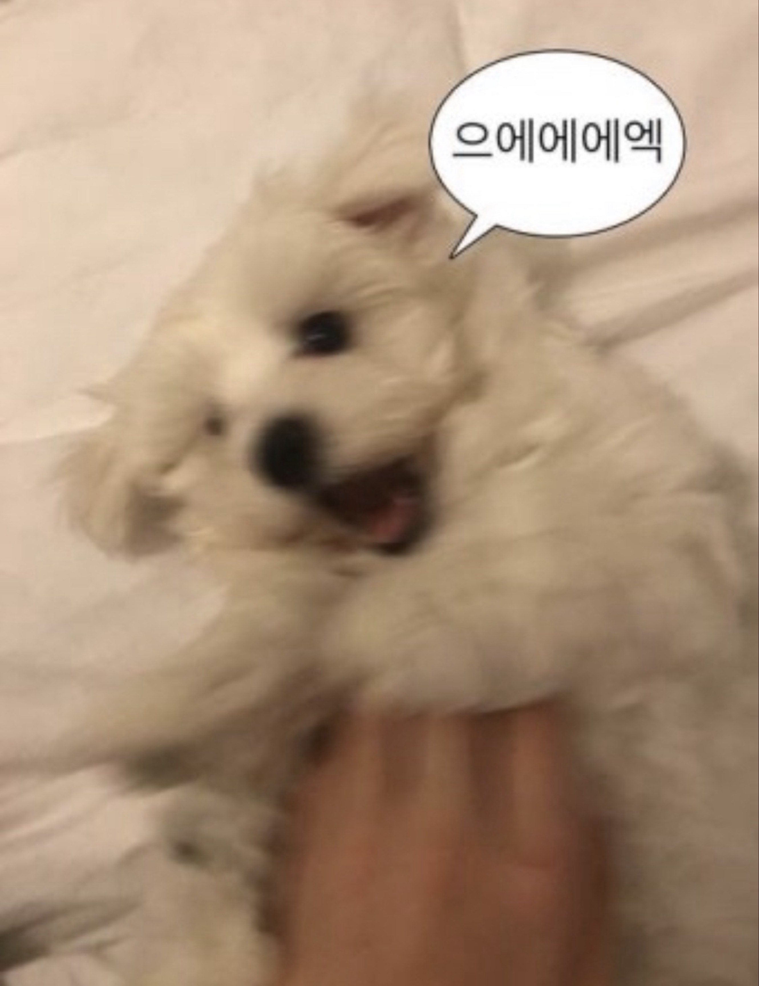 애들아 올라와서 소통해..