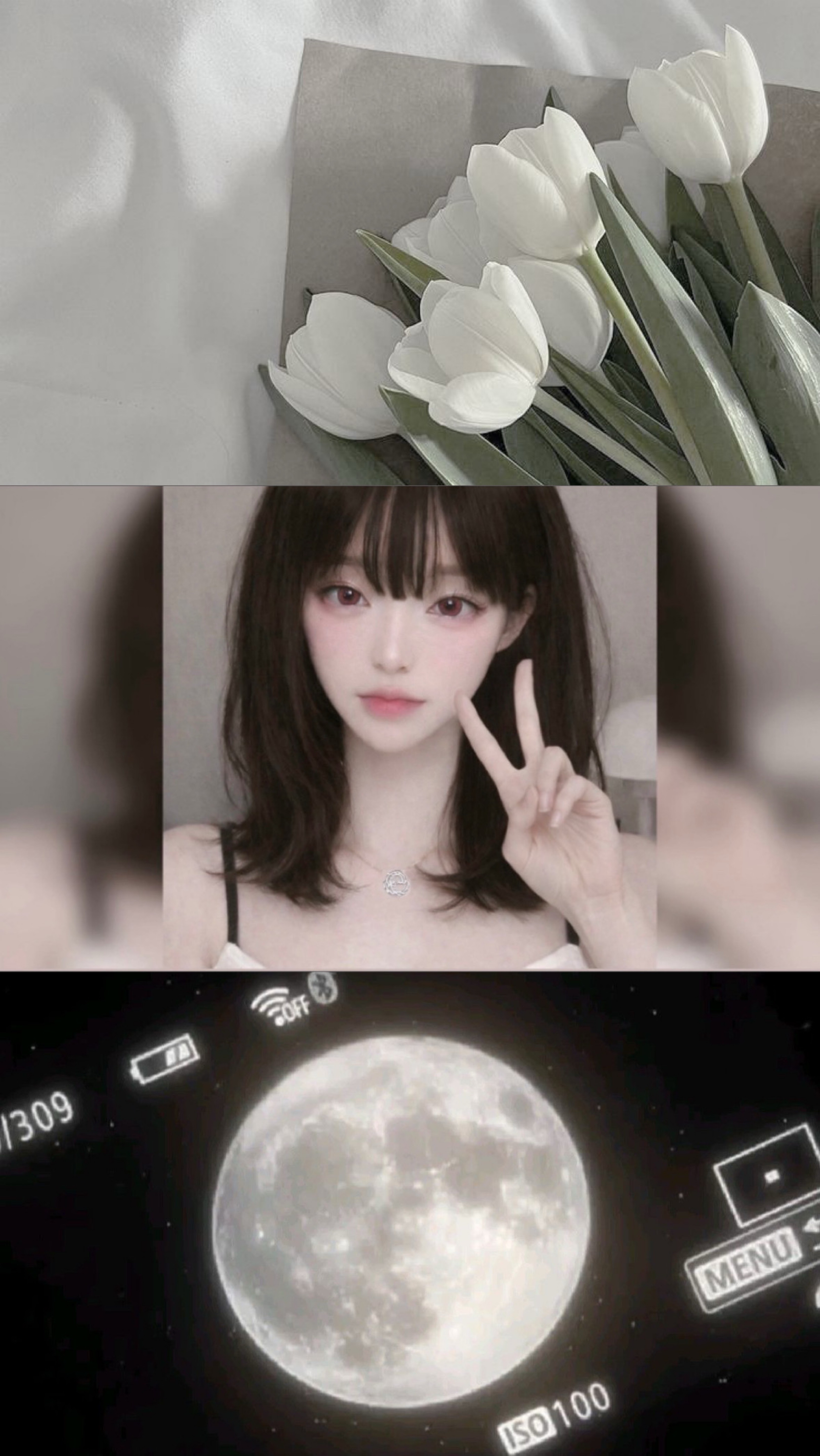 🌔 백월이의 100일