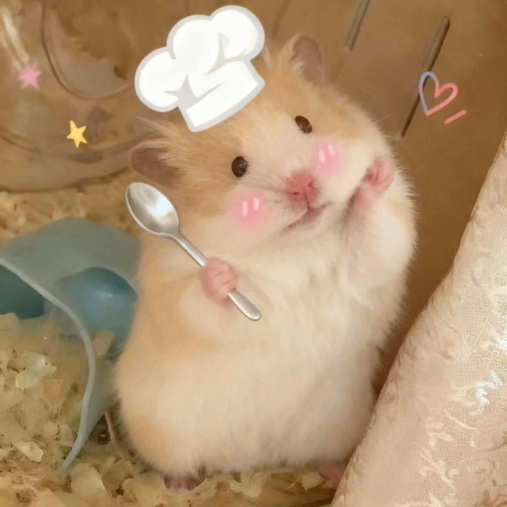 우울할때 우울핑