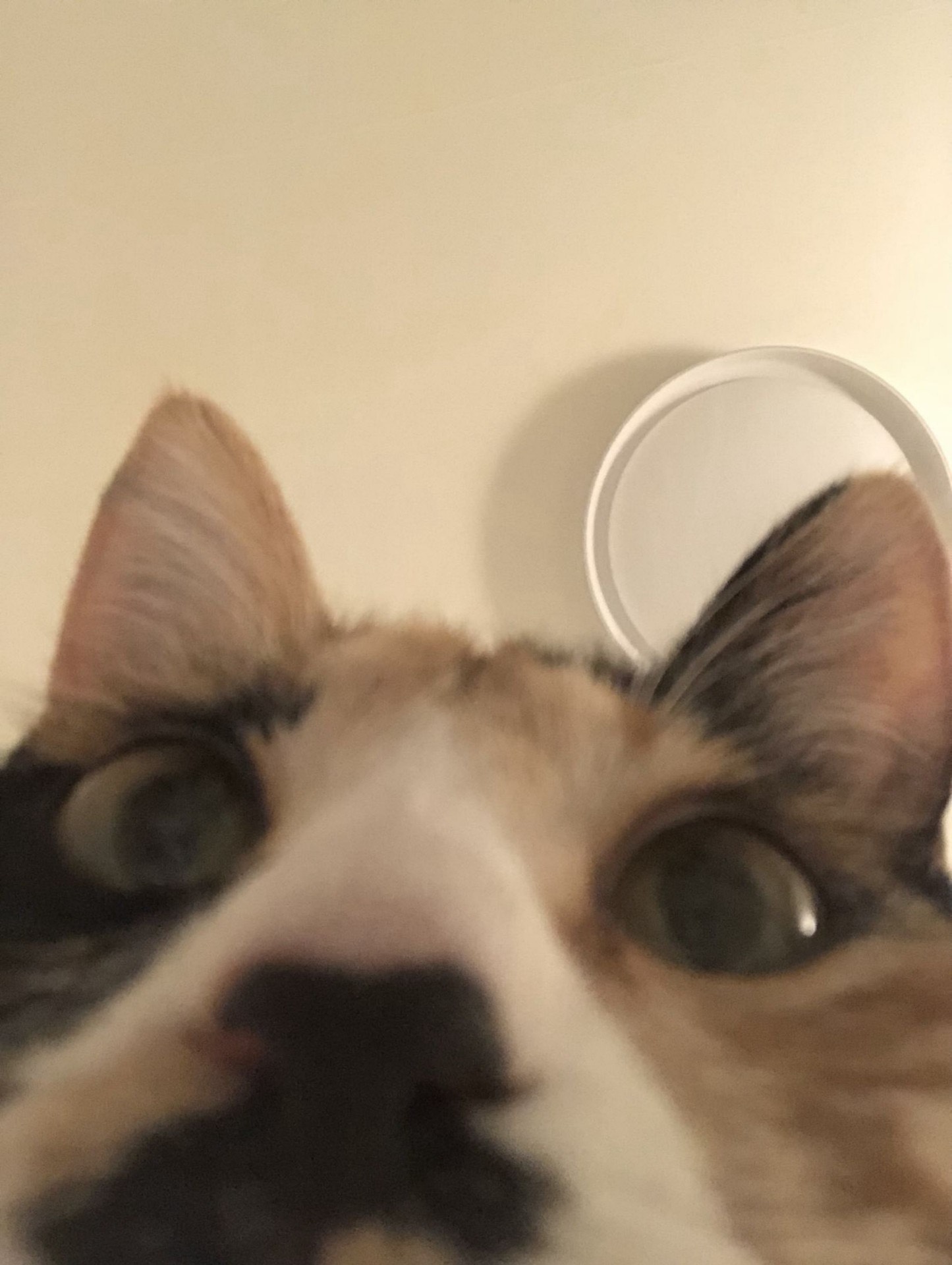 새벽 소통 잠방