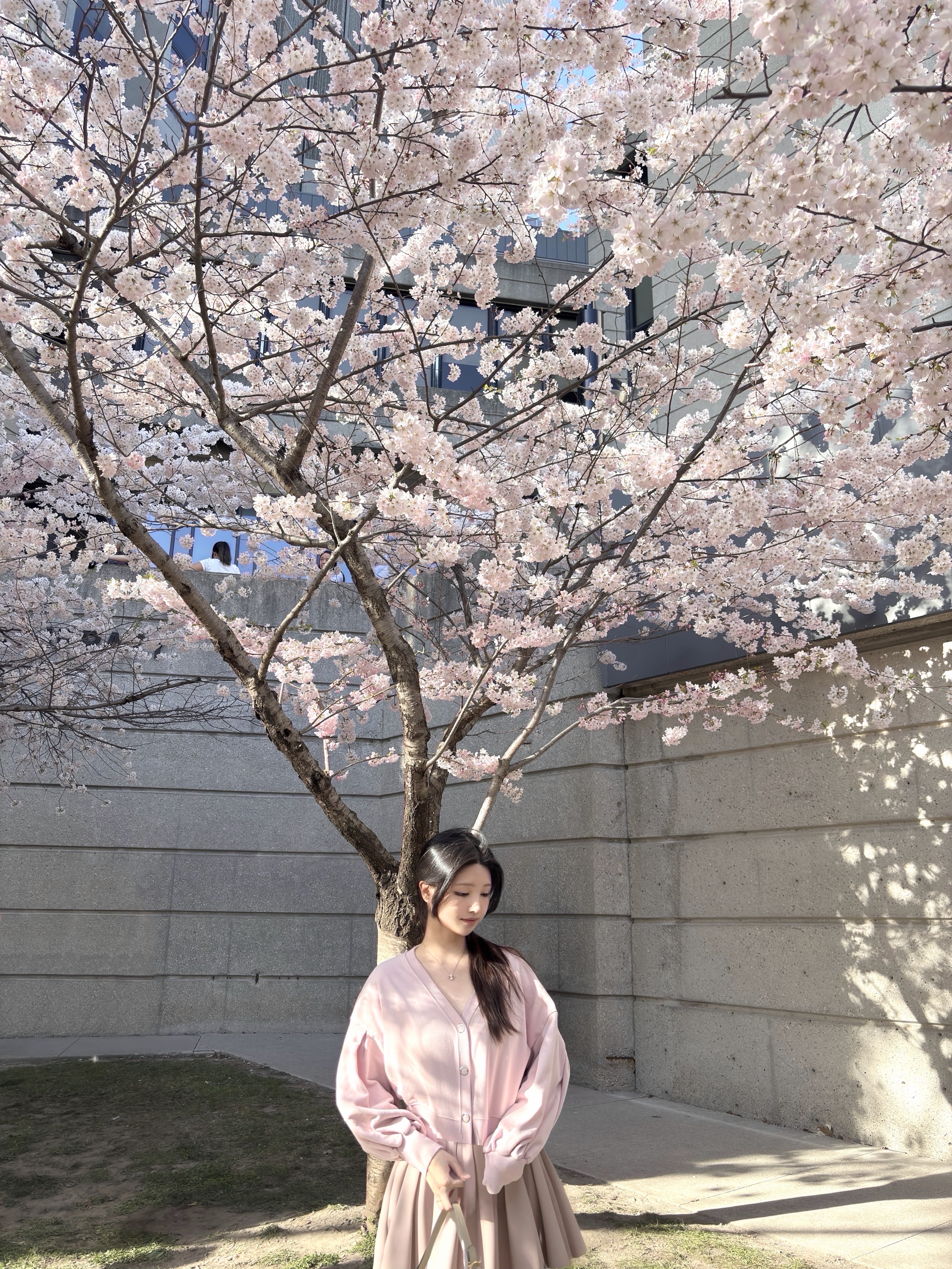 🤍 보고싶었다구 말해