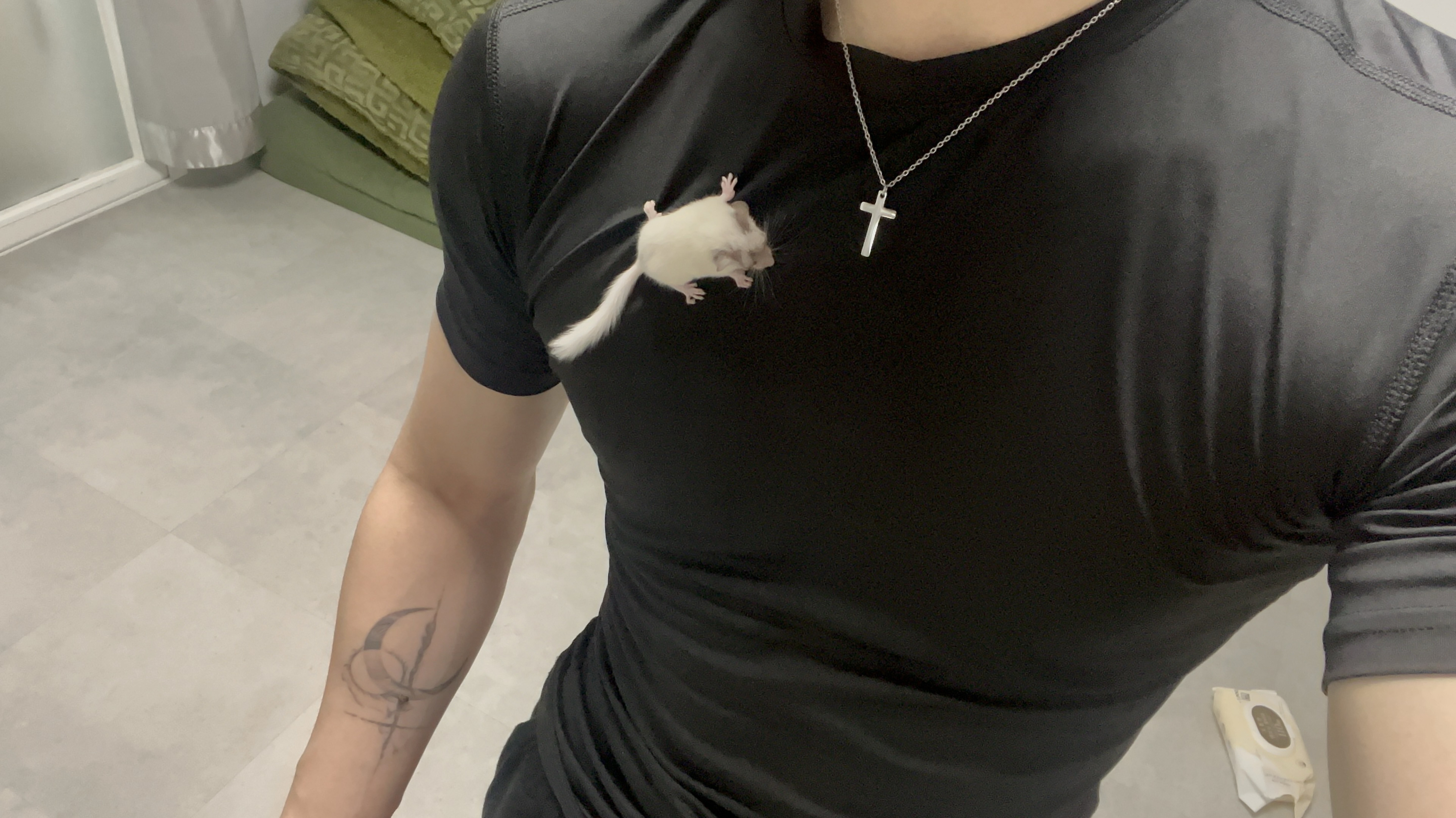 내방엔 사람이 올까…? ㅠ