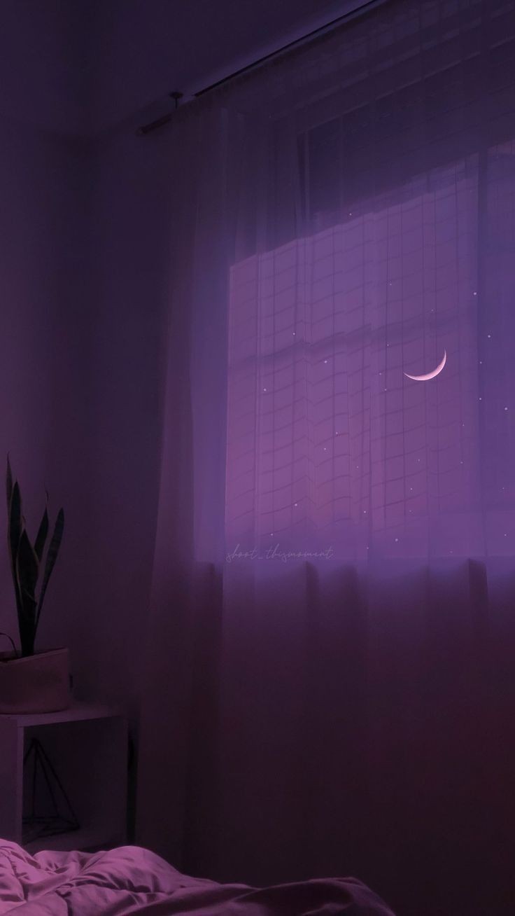 안온한 밤🌙
