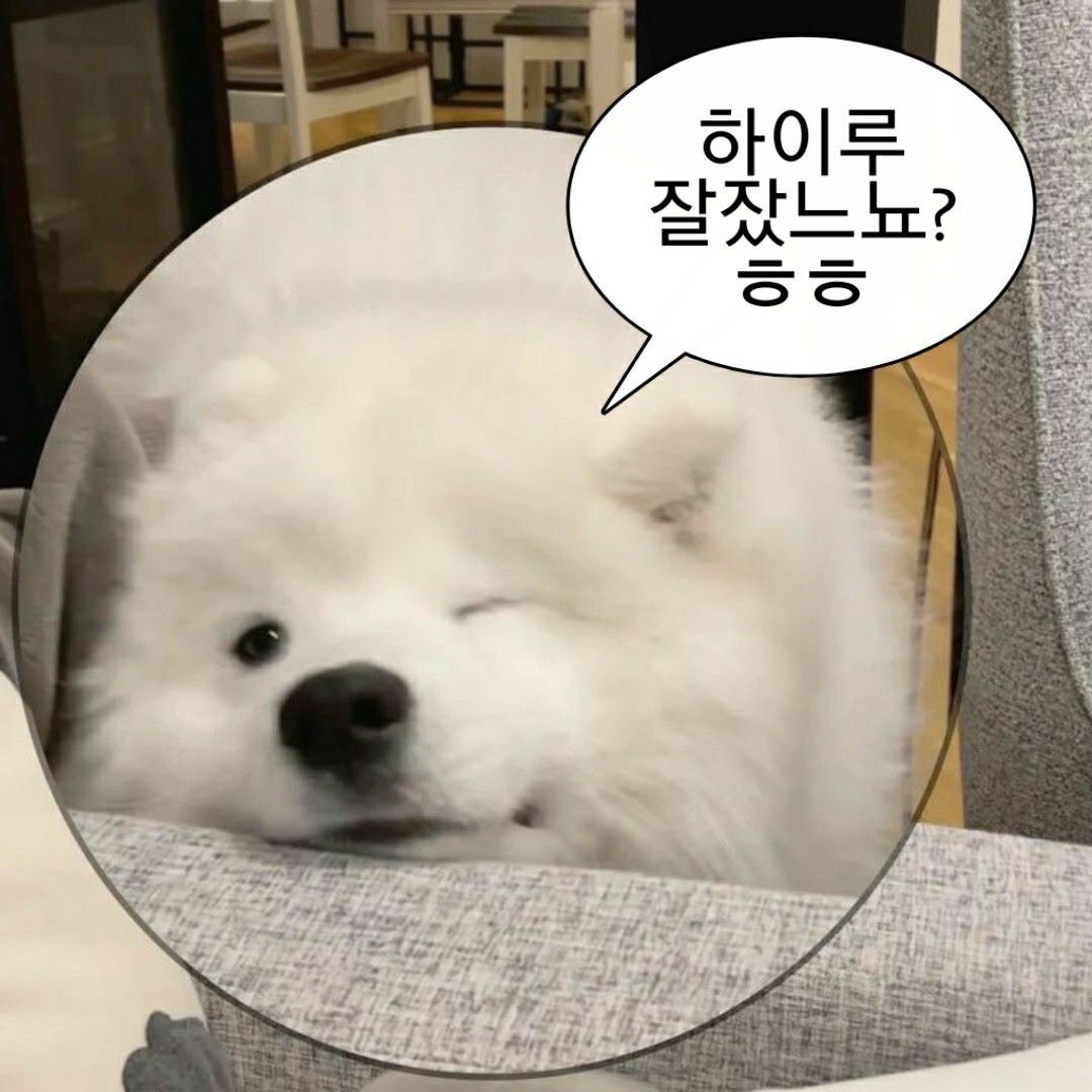 틀어두고 딴짓해도되는방💕