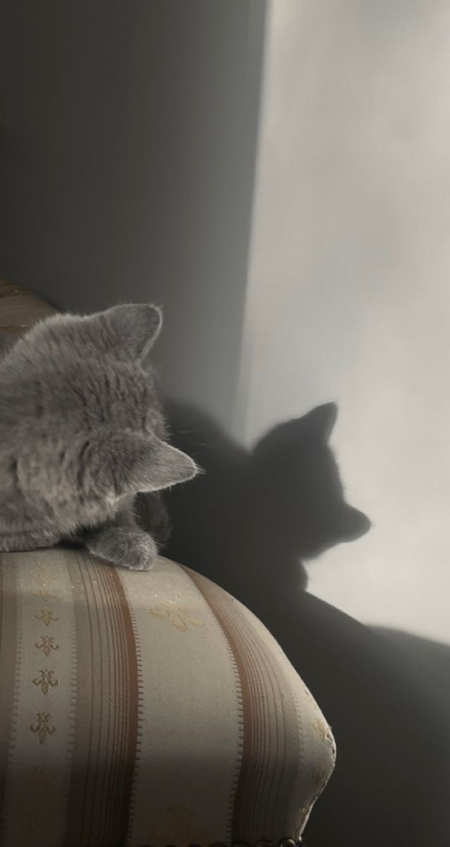 한 시간 ⠀ ⠀  ⠀