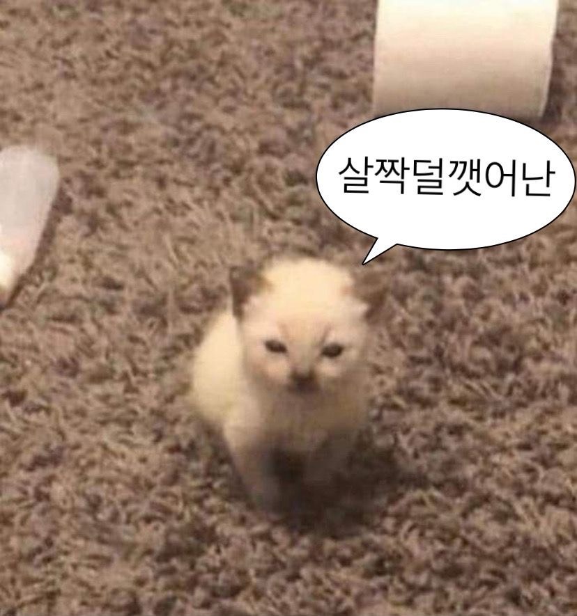 아침🙇‍♂️ 딴짓하기좋은방