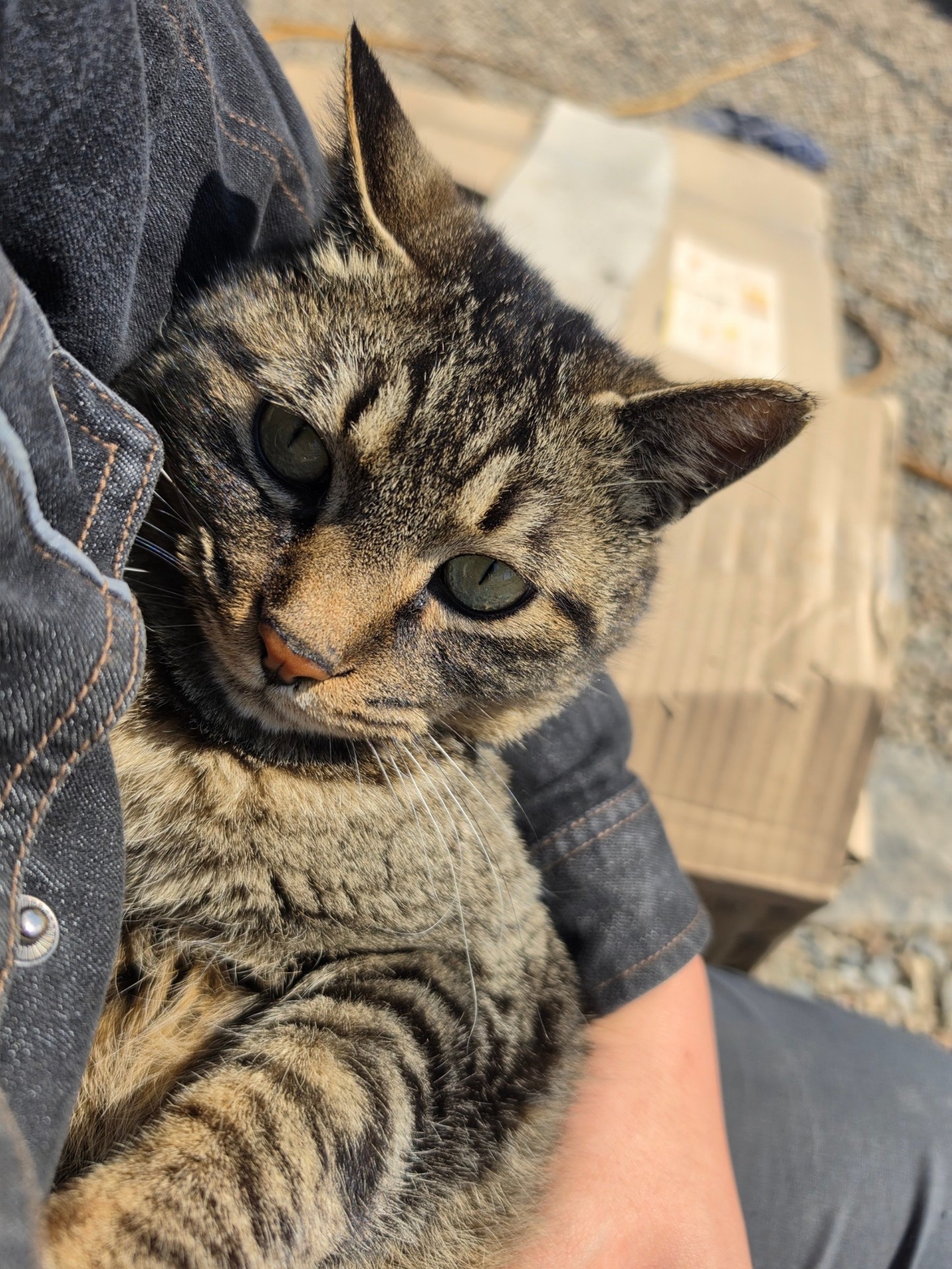 운동중(고민,수다,질문)