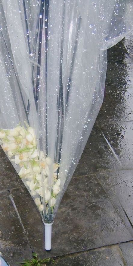 𝘮𝘪𝘥𝘯𝘪𝘵𝘦