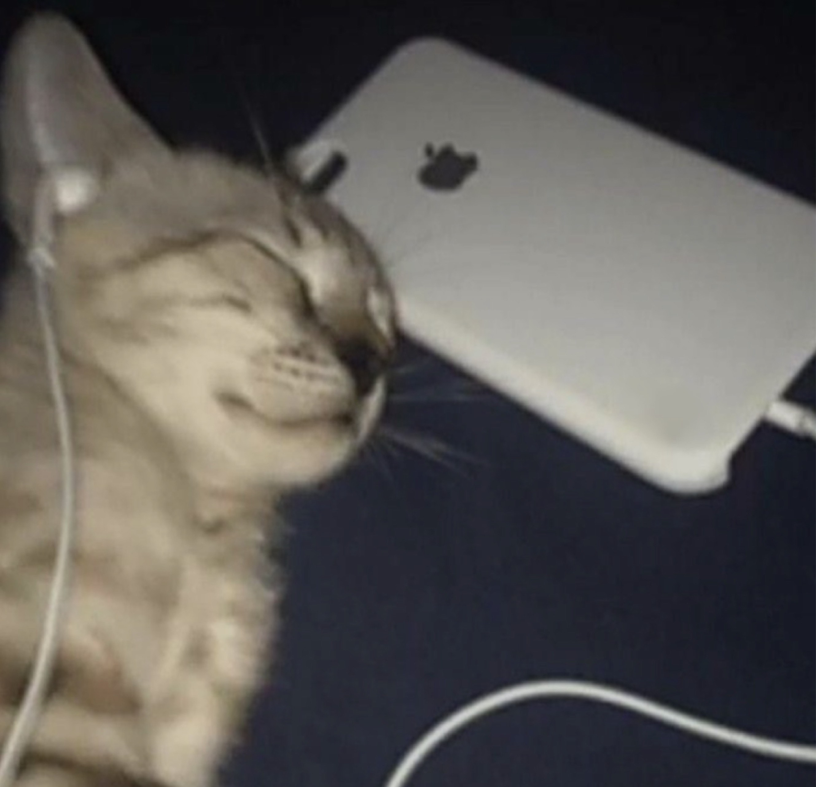 잔잔~ 아무나와요💕