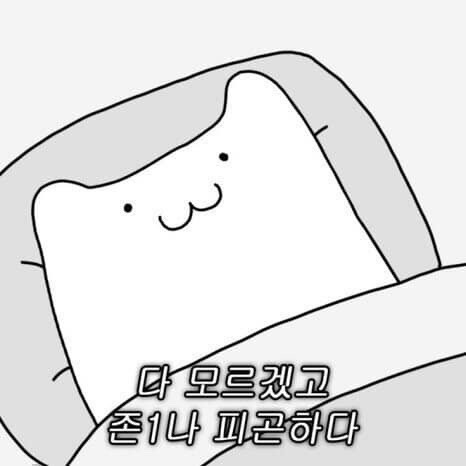 이건 무슨 방송이지