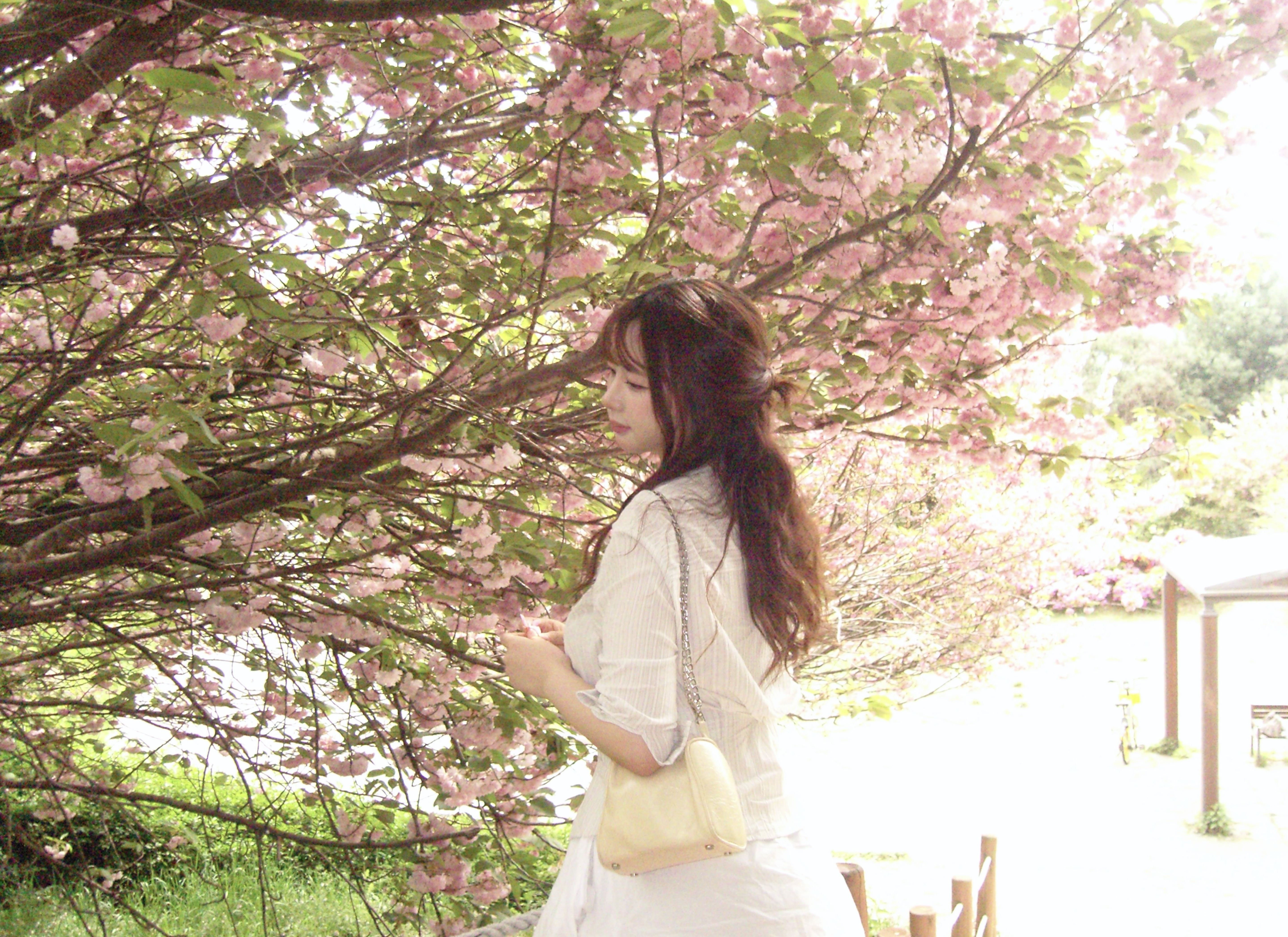 좋은 꿈 꿔  - ☘︎