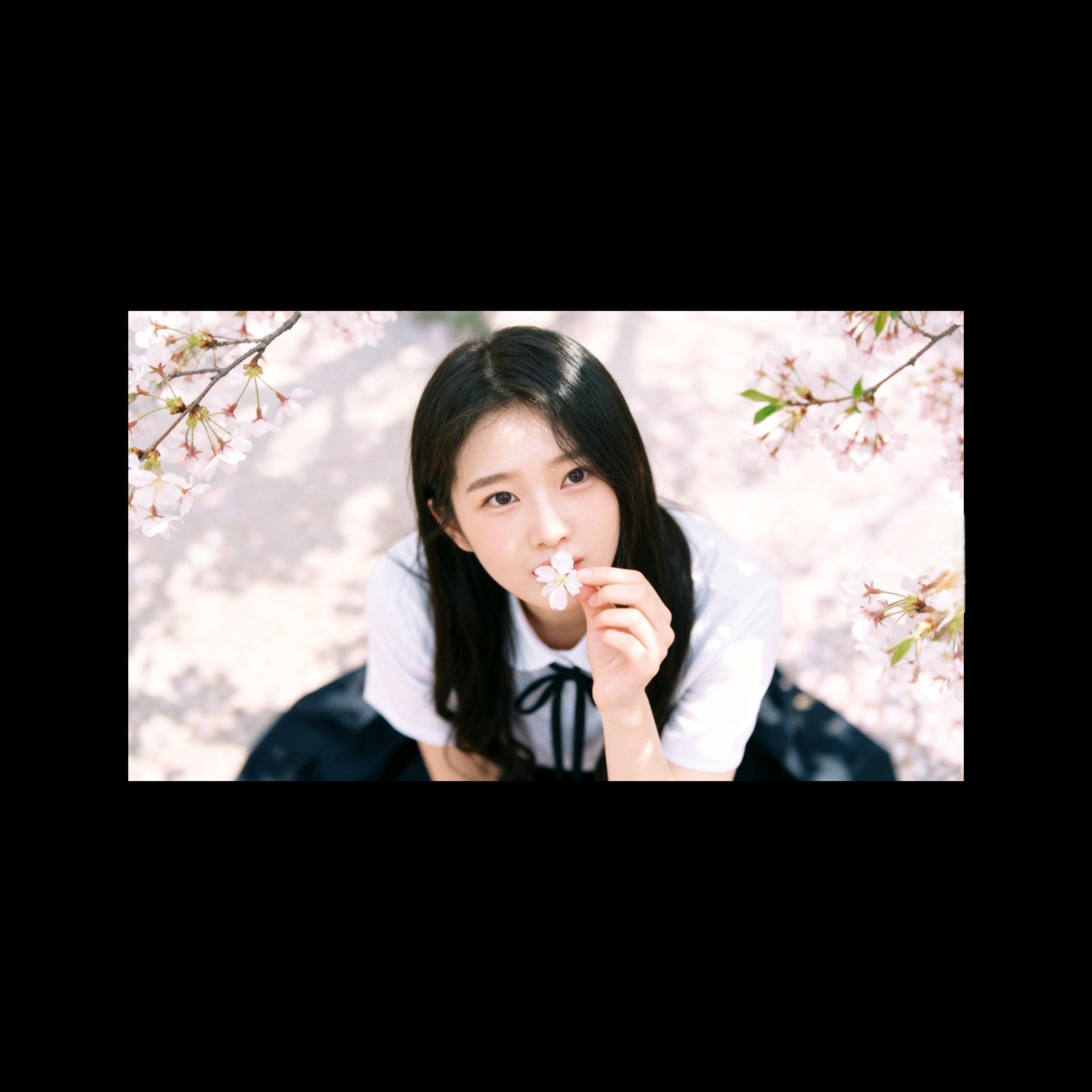 하트가 간절히 필요합니다💕