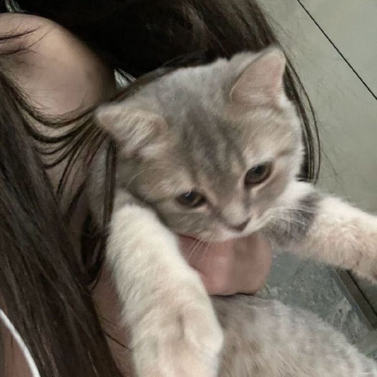 중저음 좋아하세요 ?