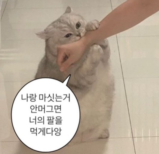 한입만 물어볼게요. 와앙 .ᐟ
