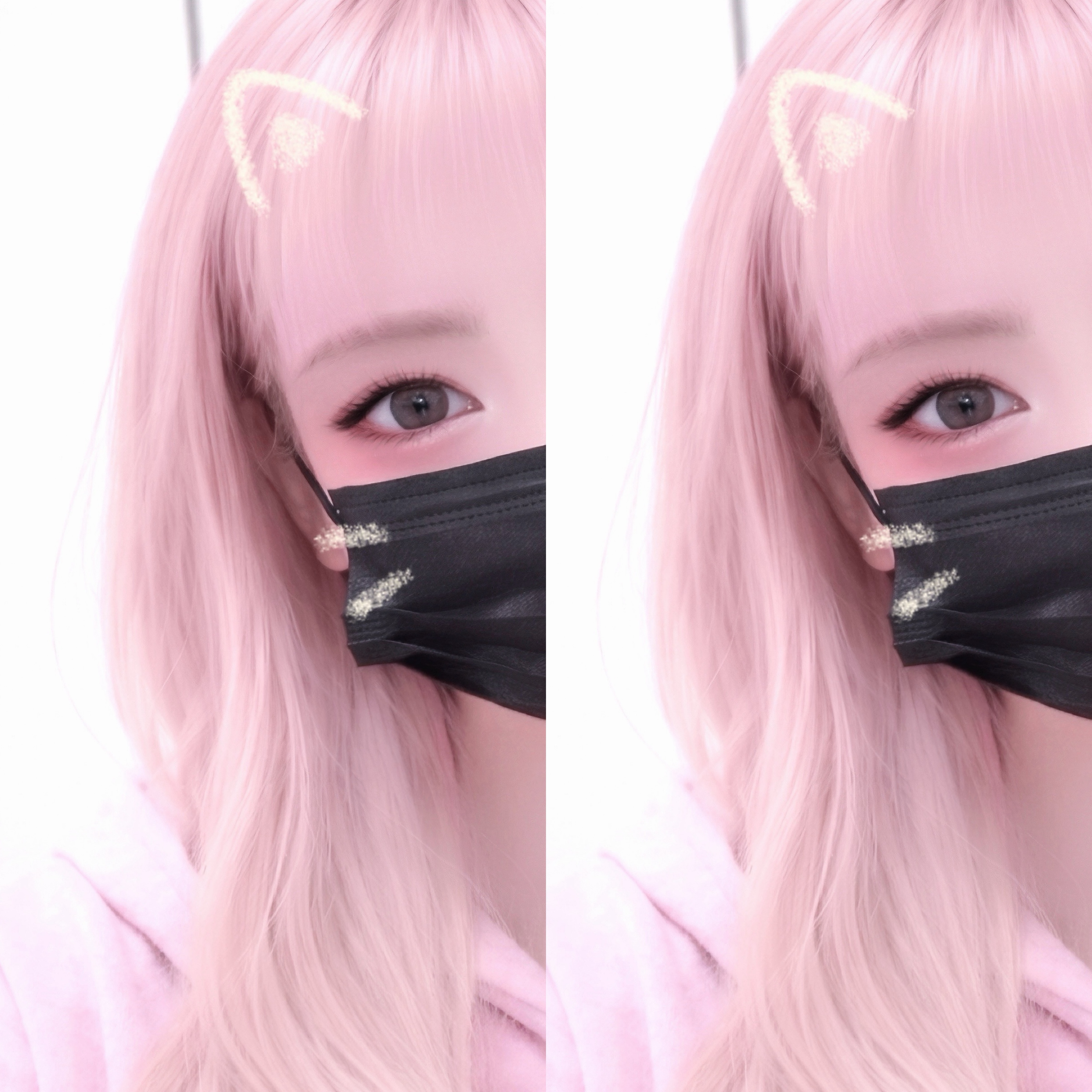 다들 모행 