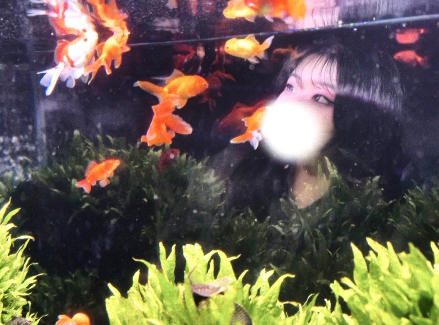 ‧₊ 일단 들어보세요