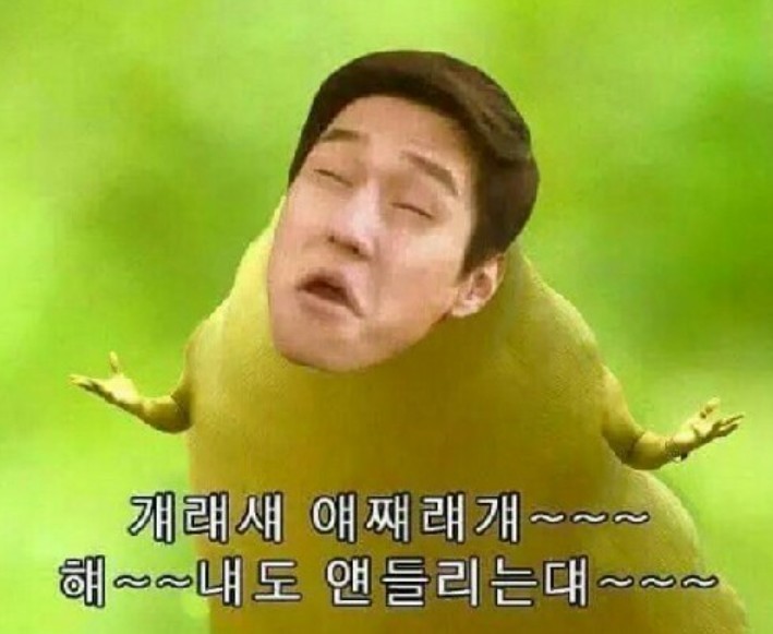 오던말던 내 하던데로 할게