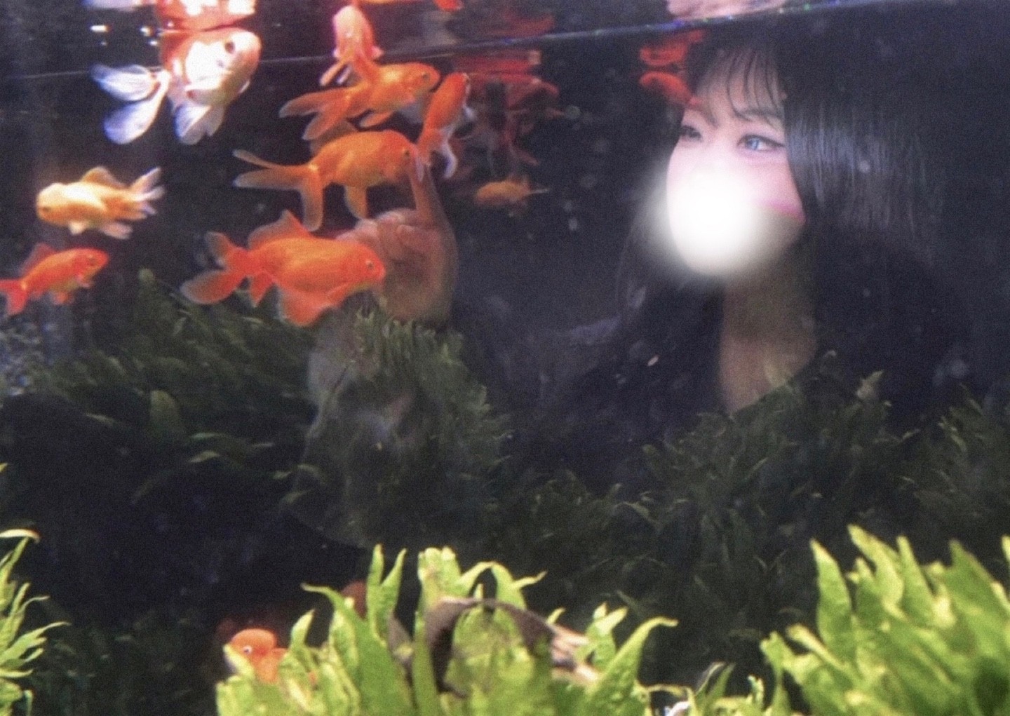 ‧₊ 일단 들어보세요