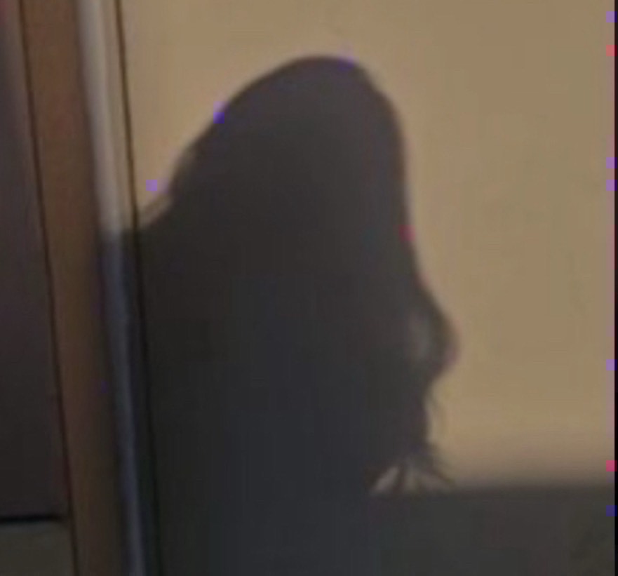 빼애꼬옴?