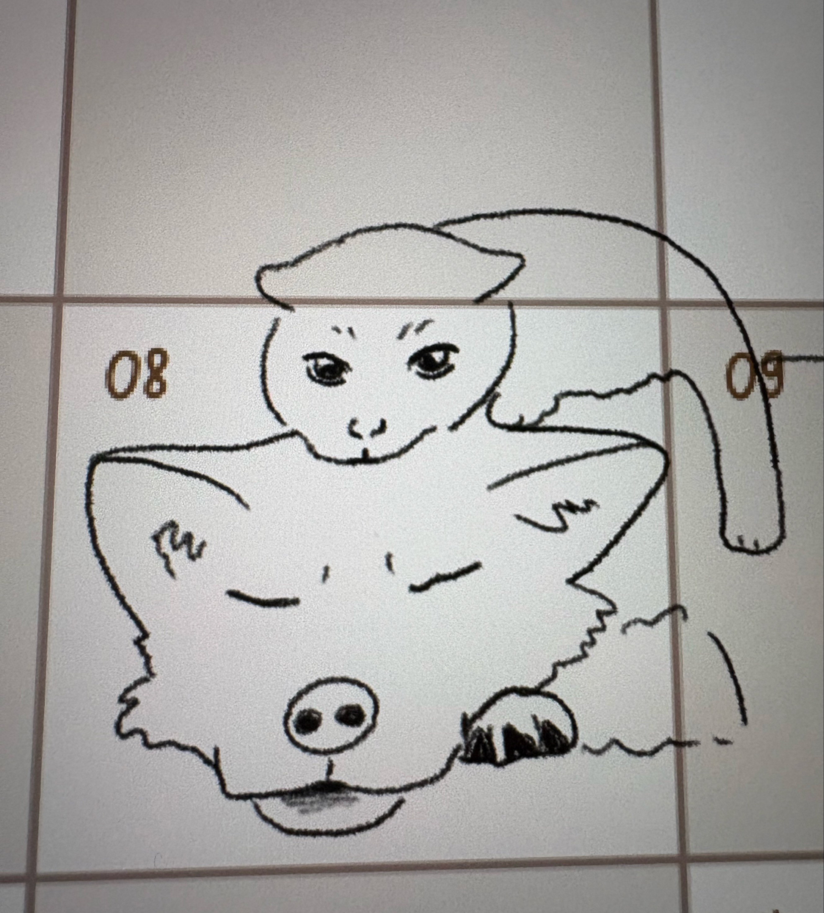 잔잔토크~ 탐방환영🙇‍♂️