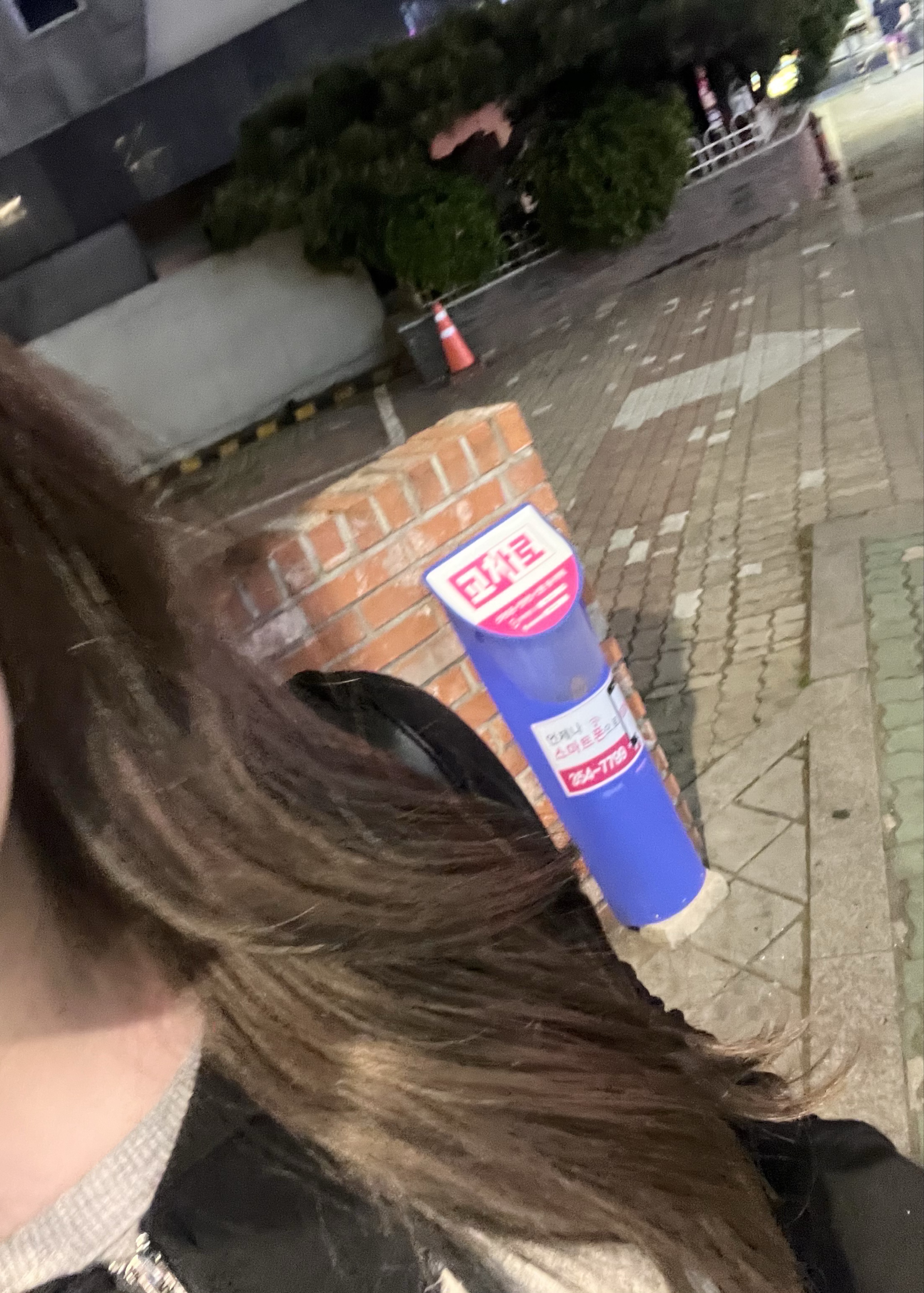 🦎굿모닁