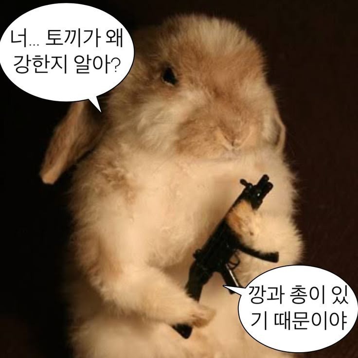 라콜소통!