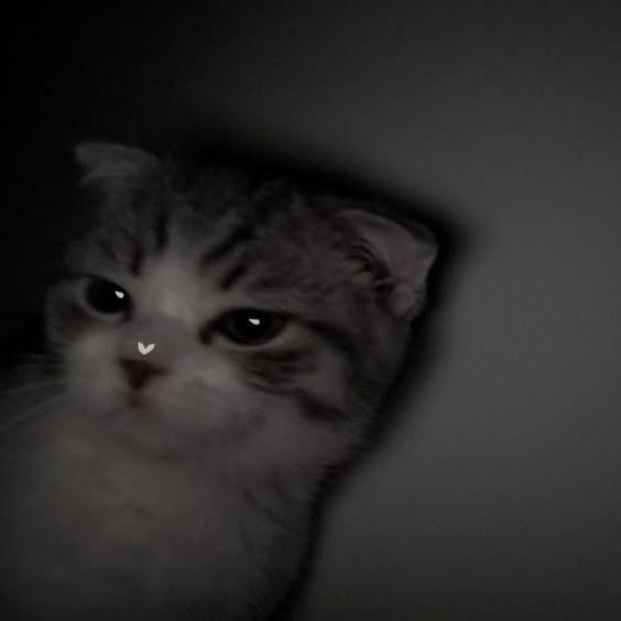 pli.