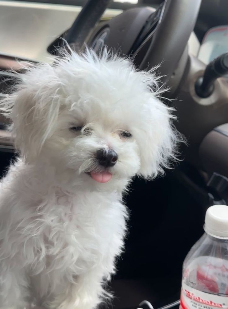 오늘 퇴사하고 올게(?)