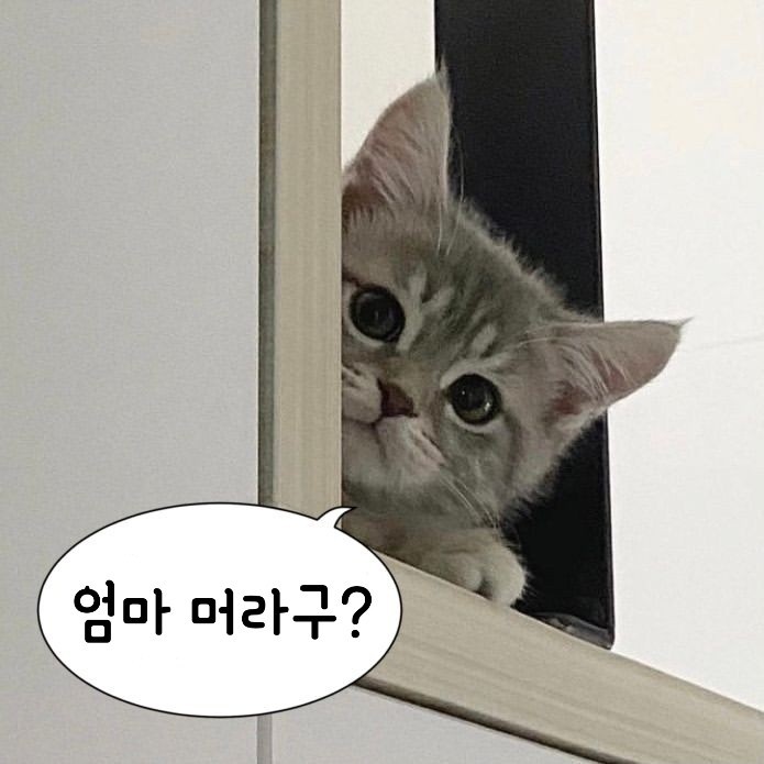 내다,코맹맹이