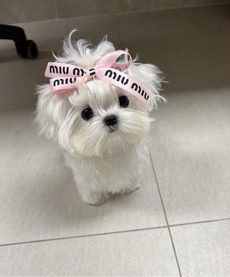 ㅇㅇㅇ