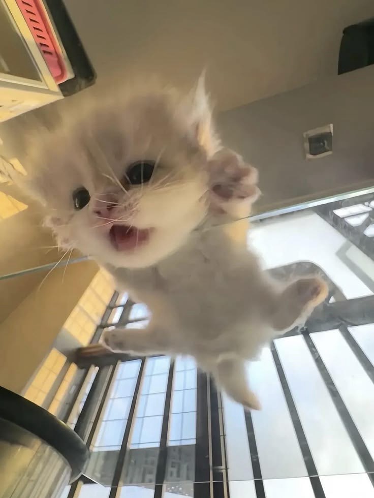 ㅗ ㅗ
