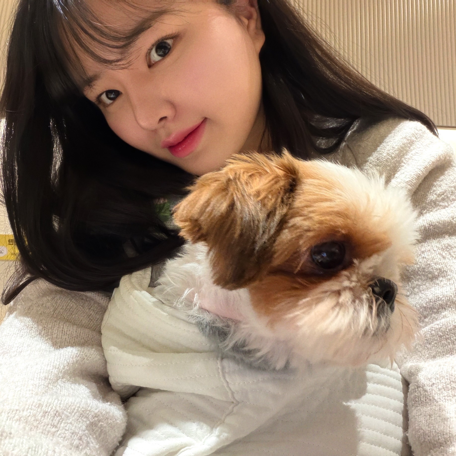 사랑을 말해줘