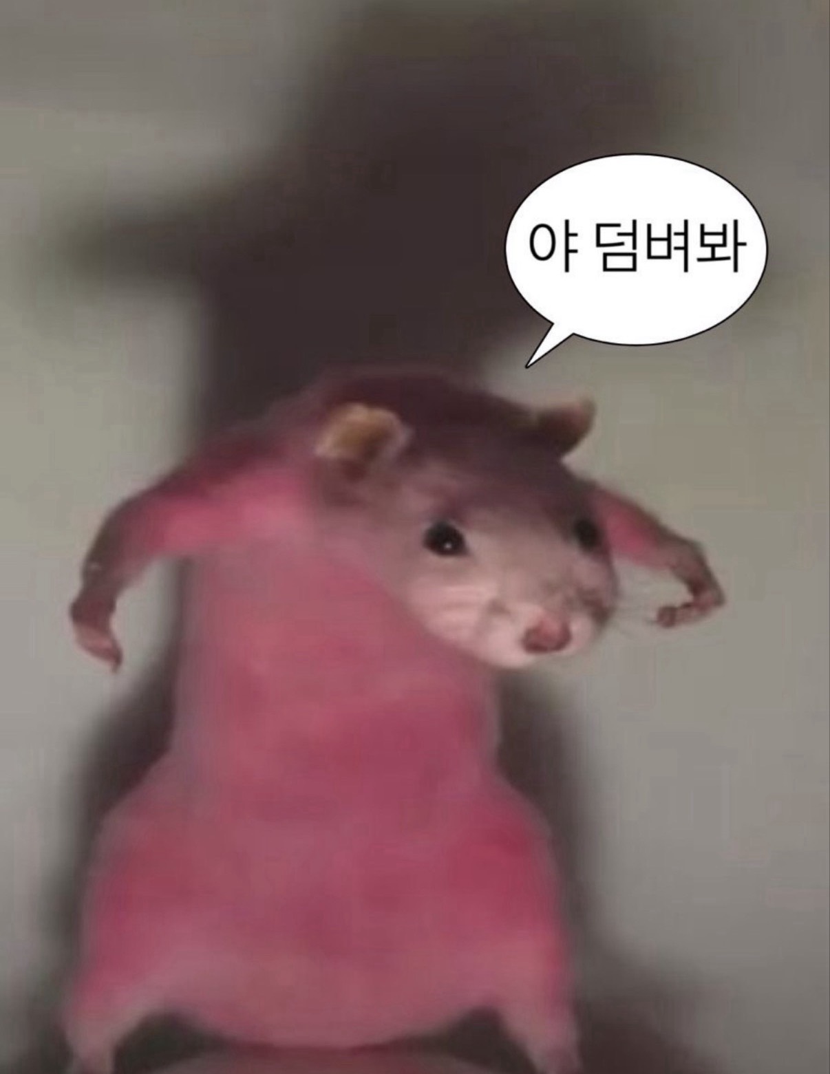 그대들이 원하는 잠방 ꒰ ¨̮ ꒱