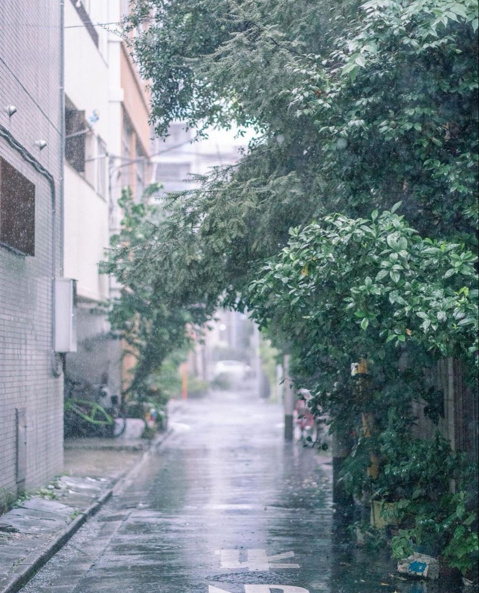 잔잔짧뱅🖤