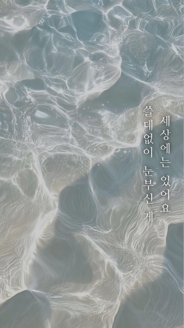 묘운☁️°⊹ 뜻밖의 서점📖