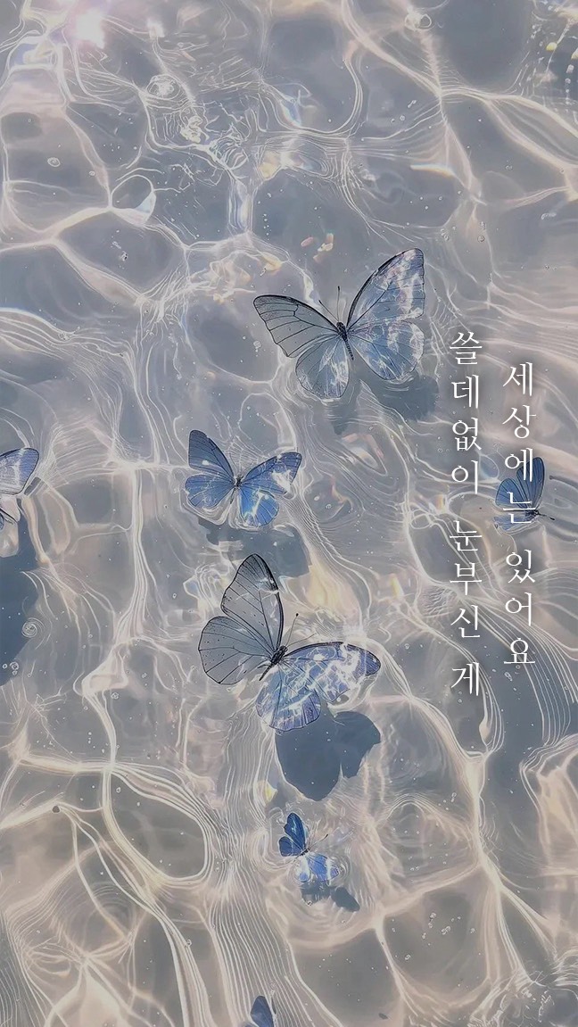 묘운☁️°⊹ 뜻밖의 서점📖