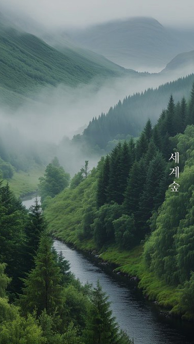 묘운☁️°⊹ 뜻밖의 서점📖