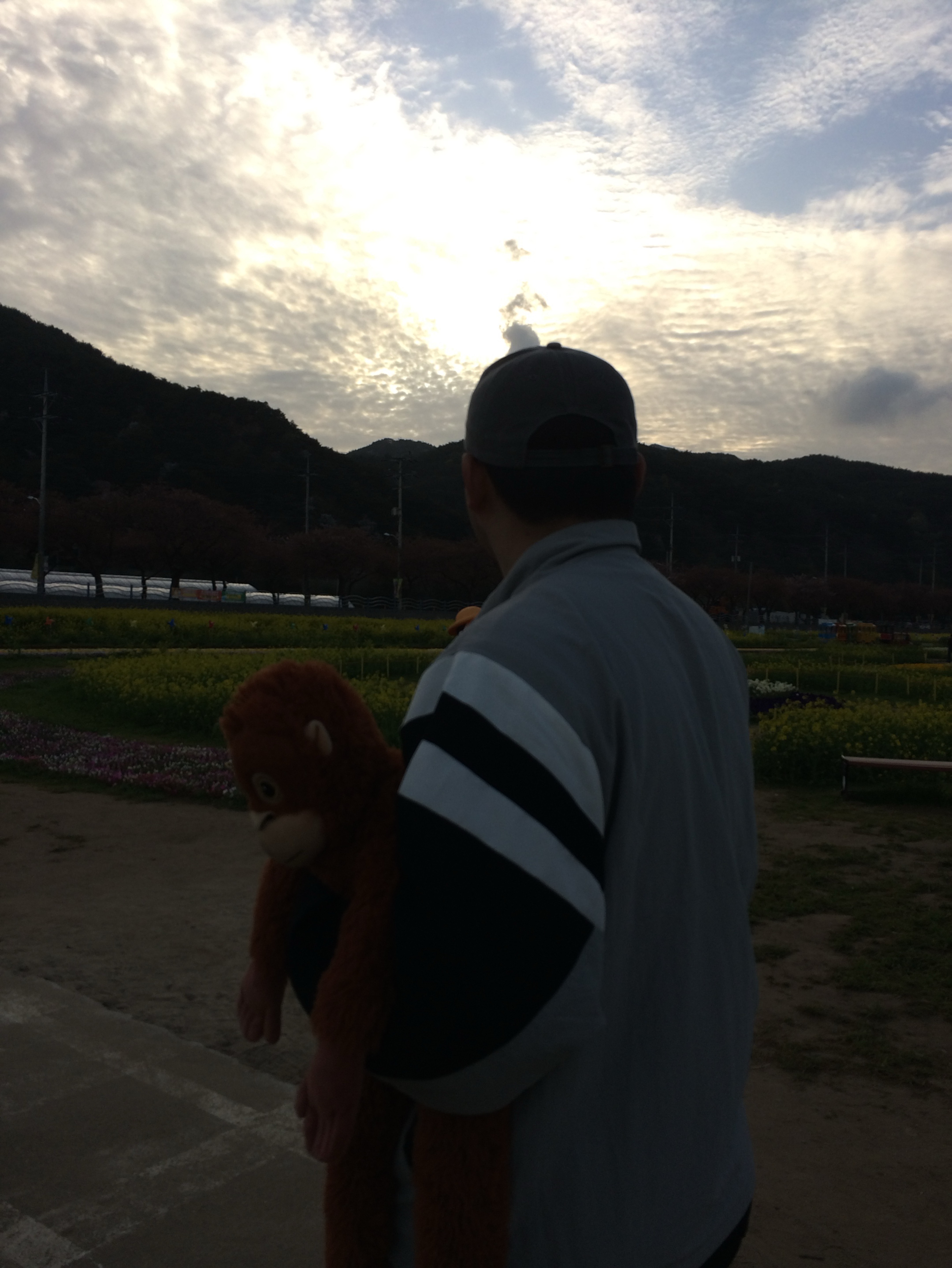 수요병