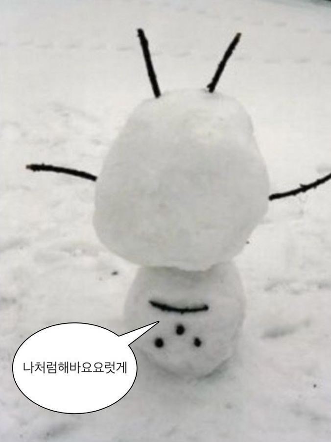 라콜 오소 