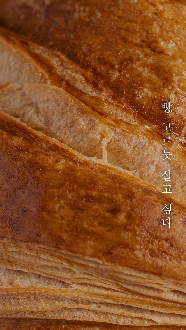 묘운☁️°⊹ 뜻밖의 서점📖