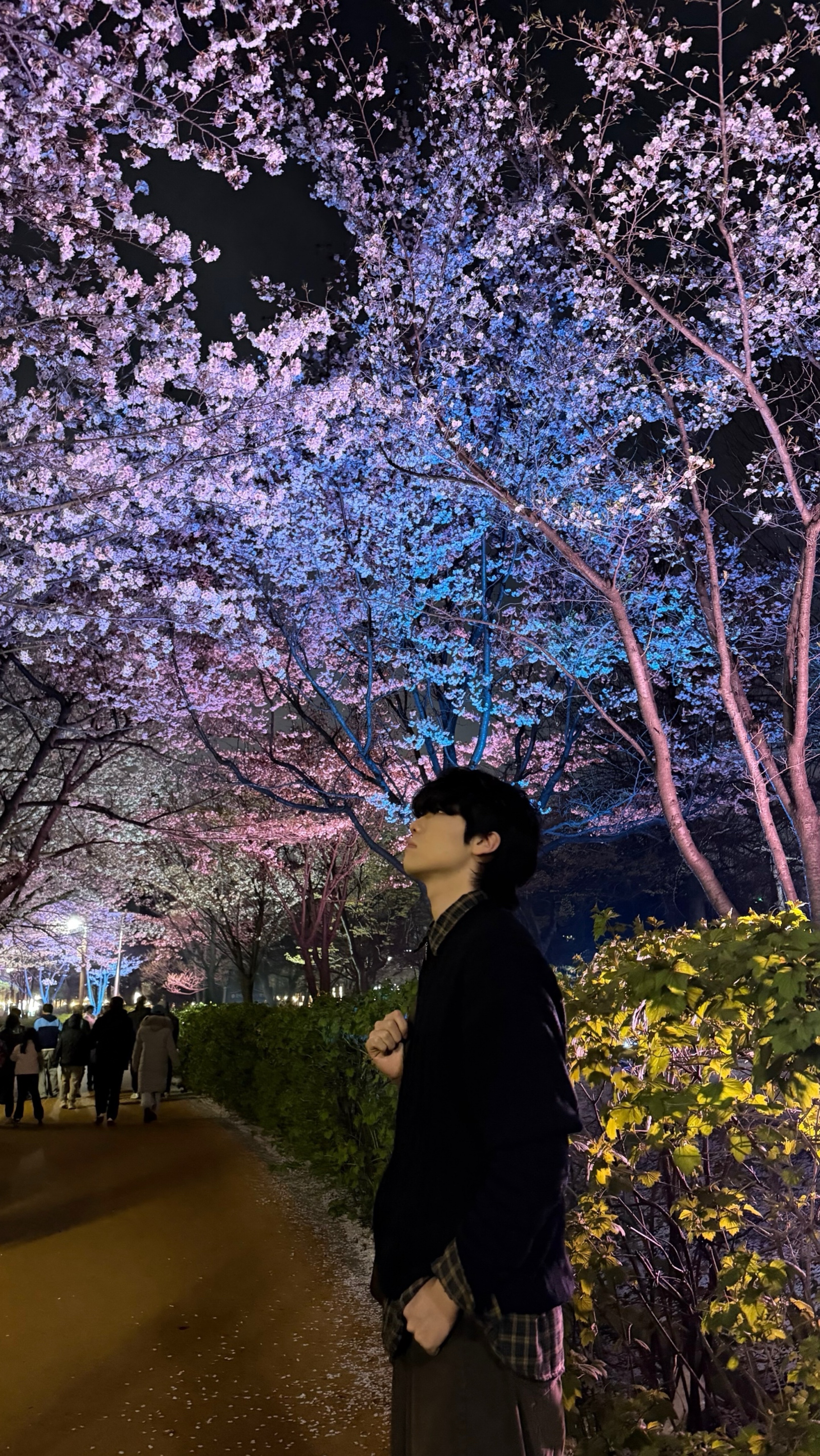 갈방 없자나 일루와