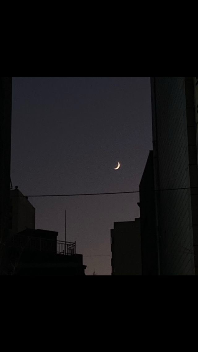 한시간동안 룰렛8스푼 반값방송💕