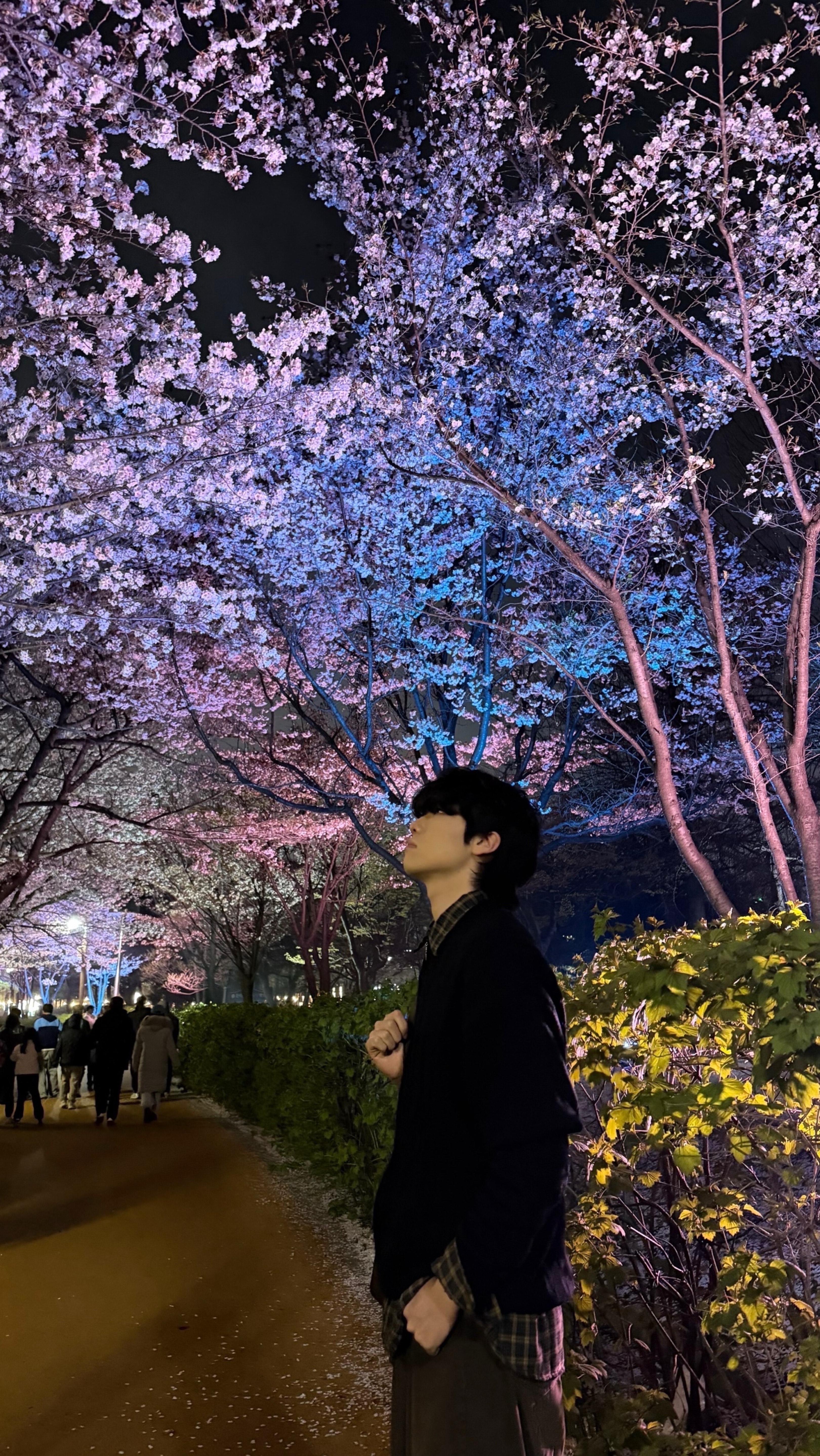 갈방 없자나 일루와
