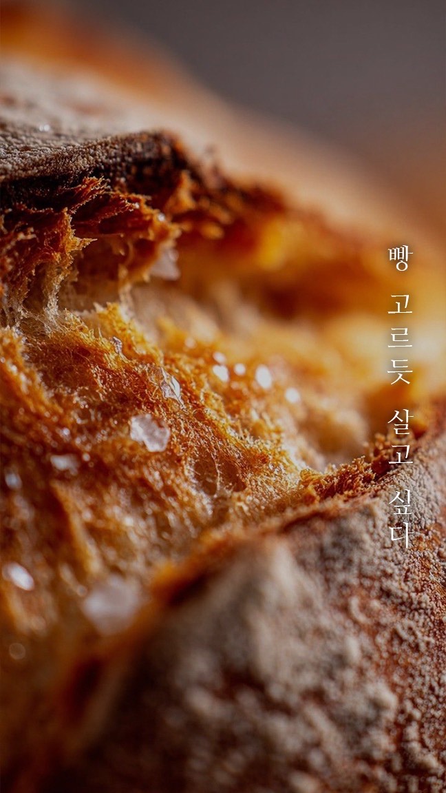 묘운☁️°⊹ 뜻밖의 서점📖
