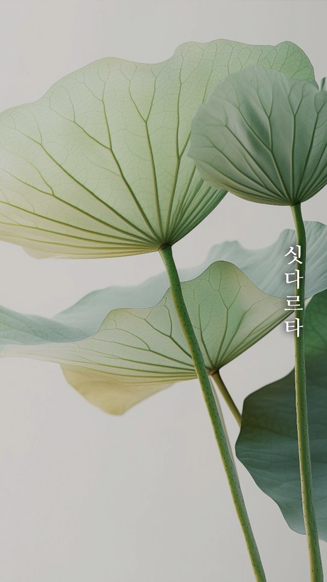 묘운☁️°⊹ 뜻밖의 서점📖