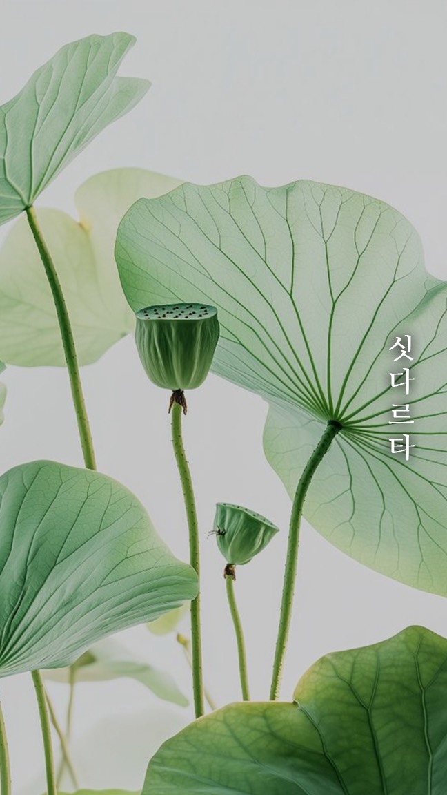 묘운☁️°⊹ 뜻밖의 서점📖